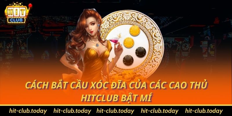 Cách bắt cầu xóc đĩa của các cao thủ HitClub bật mí