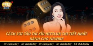 Cách soi cầu tài xỉu Hitclub chi tiết nhất dành cho newbie