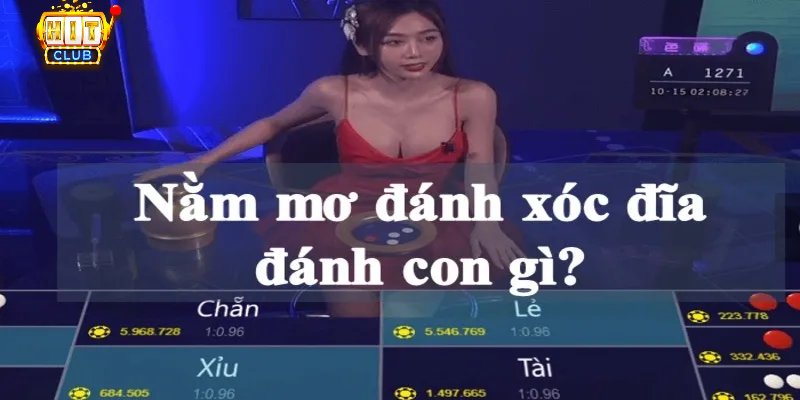 Mơ thấy đánh xóc đĩa là điềm báo gì?